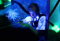 HIE_Laser2_1000x800